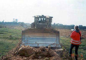 rachelcorrie