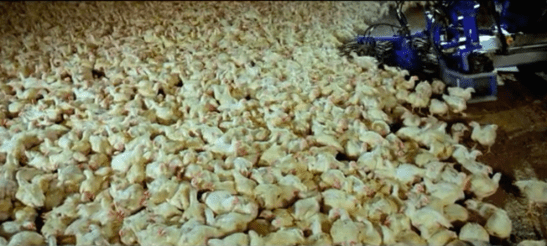 Capture d’écran 2015-03-01 à 12.44.30