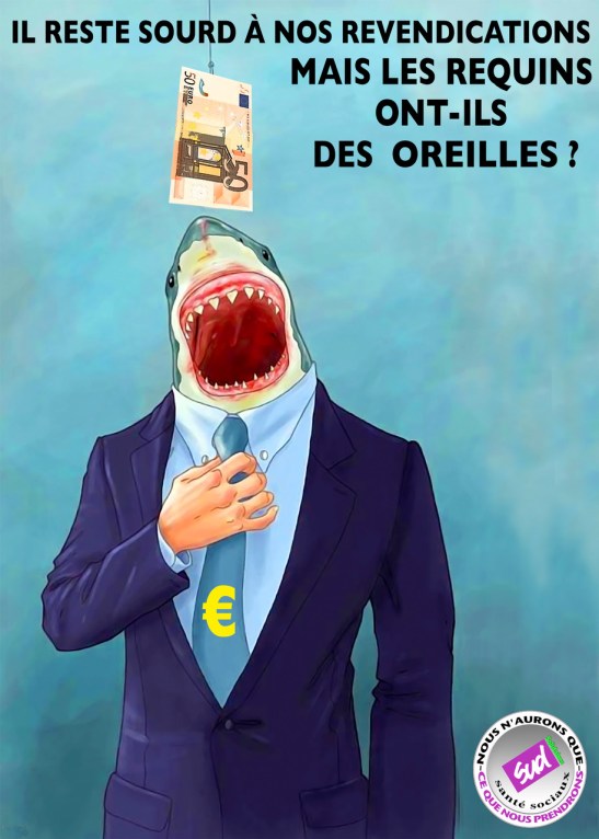 Oreilles requins.jpeg