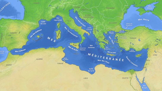 Mediterranée